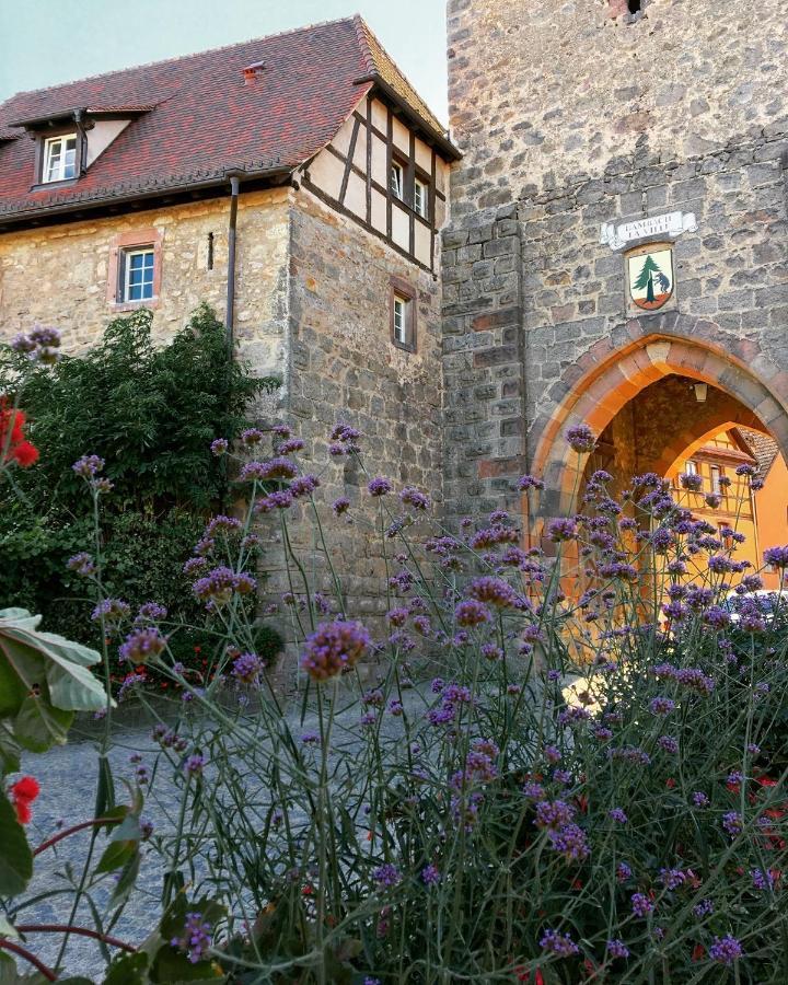 Le Cocon Du Potier Villa Dambach Eksteriør billede